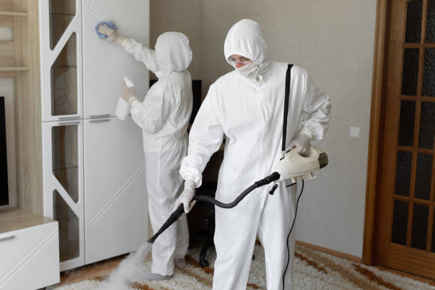 Best Professional Mold Removal  in Bettendorf, IA