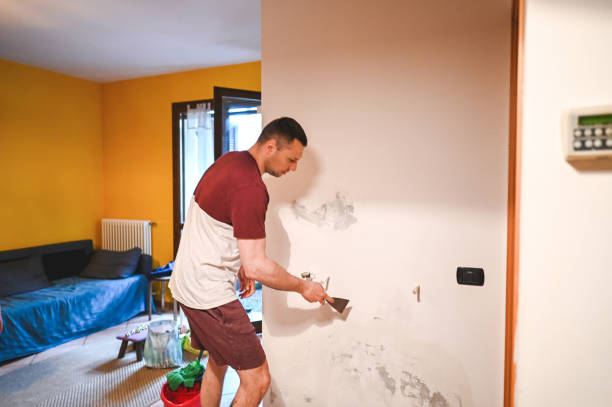 Best Mold Removal Near Me  in Bettendorf, IA